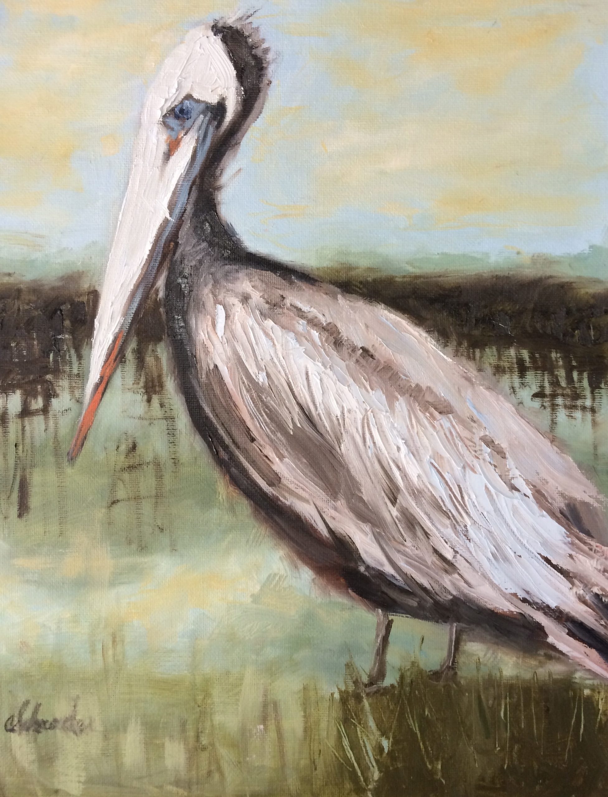 Pelican painting